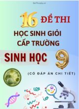 Tổng hợp 16 đề thi HSG Sinh học Lớp 9 cấp Trường (Có đáp án chi tiết)